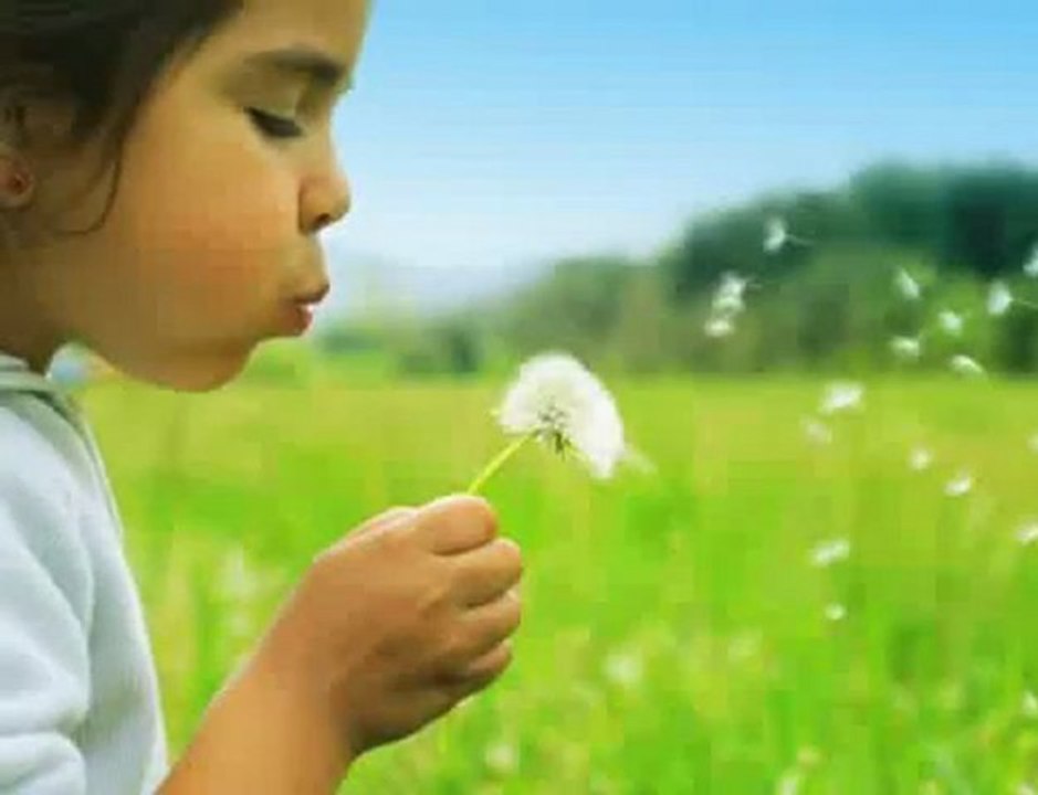 Poems of Faith for Daily Living by Veda Tohline