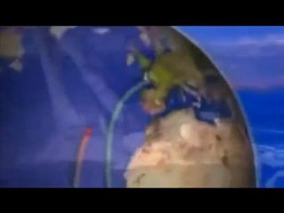 film camp bleu 2009 2010