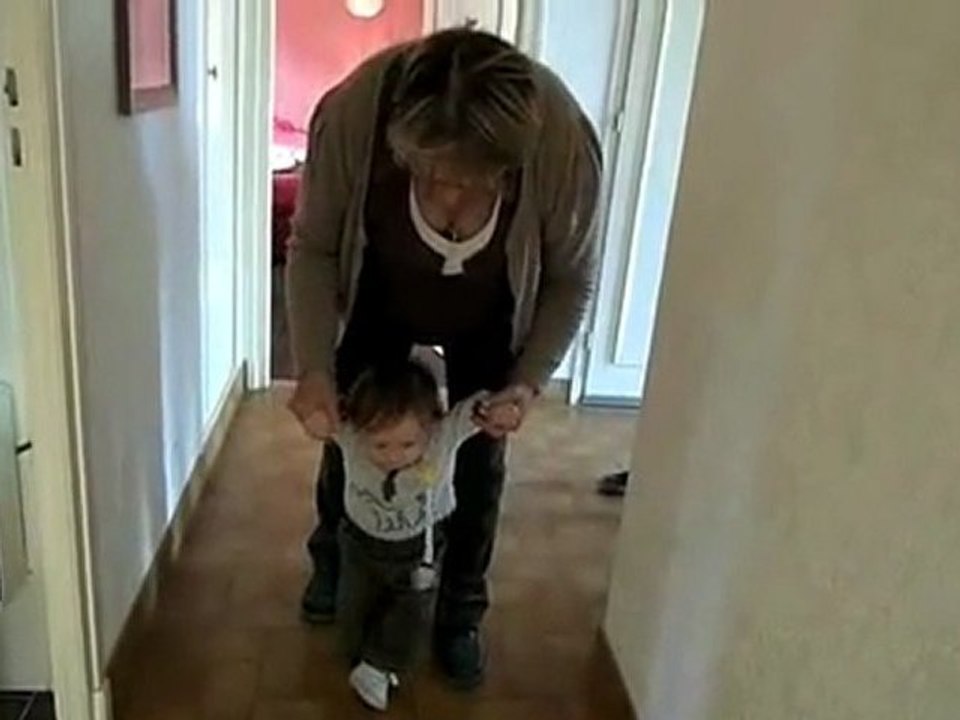 Le Promeneur