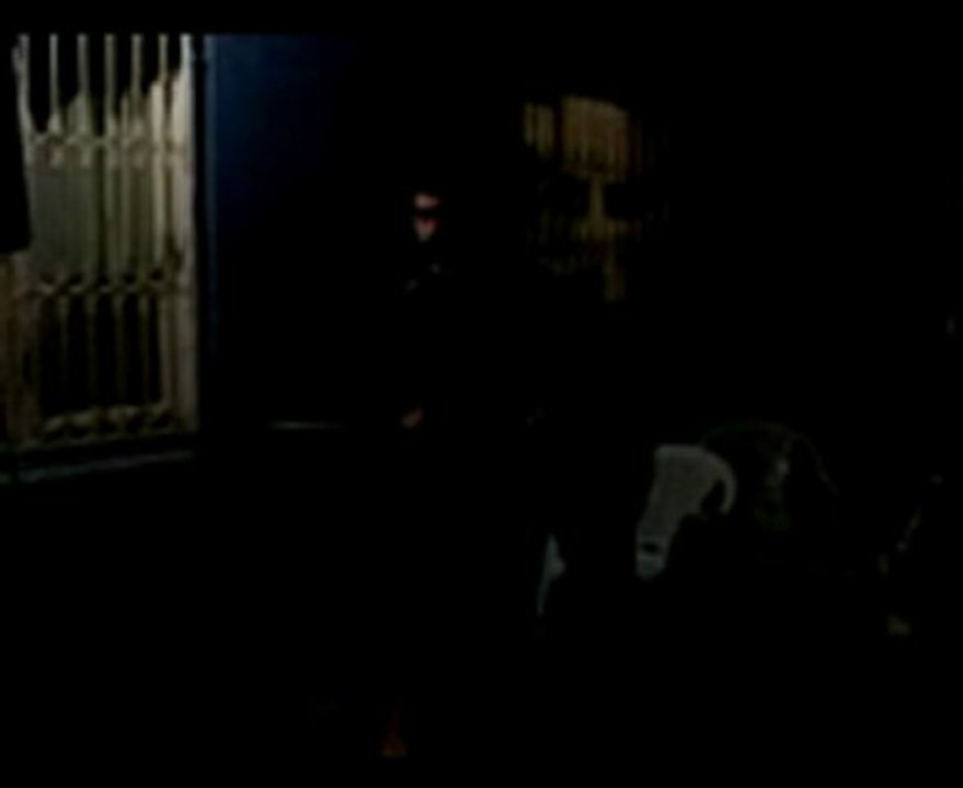 grup gözde-caney halay