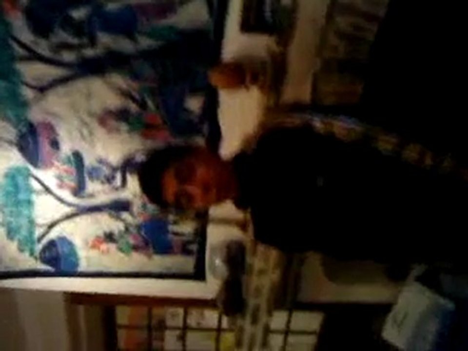 fredi delire encore