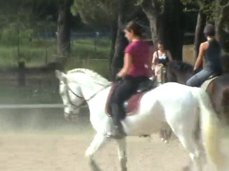 leçon dressage 21 avril 2010