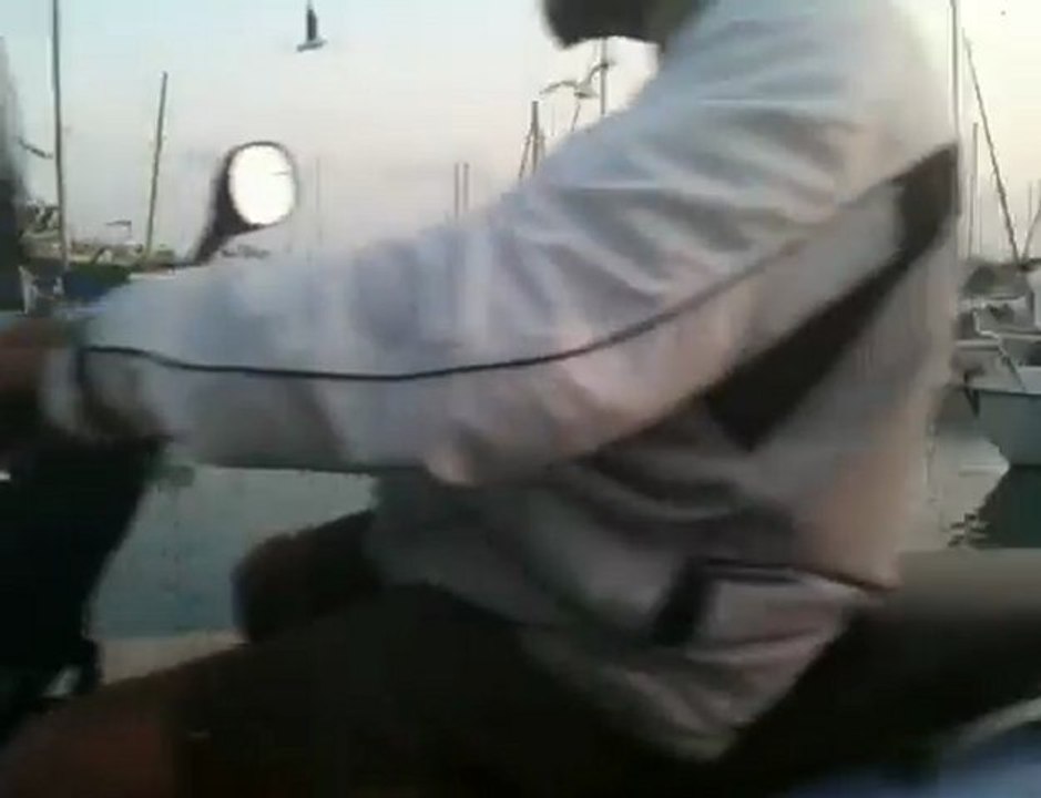 mouette a saint laurent du var