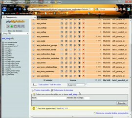 Bien importer sa base de données WordPress