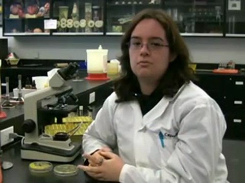 Centennial College Laboratory Assistant - Industrial Program