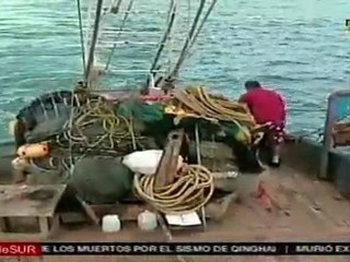 EE.UU. suspende importación de camarones