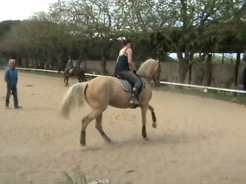 leçon dressage 21 avril 2010 part4