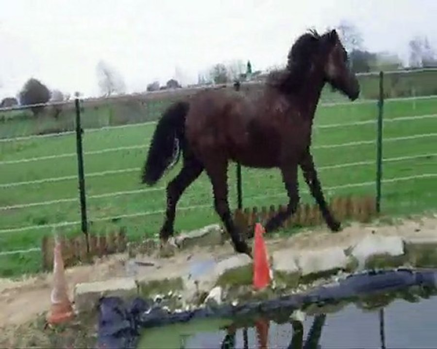 ulrika280310