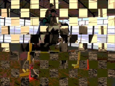 Moi & mon cheval Midnight