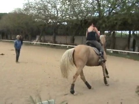leçon dressage 21 avril 2010 part5