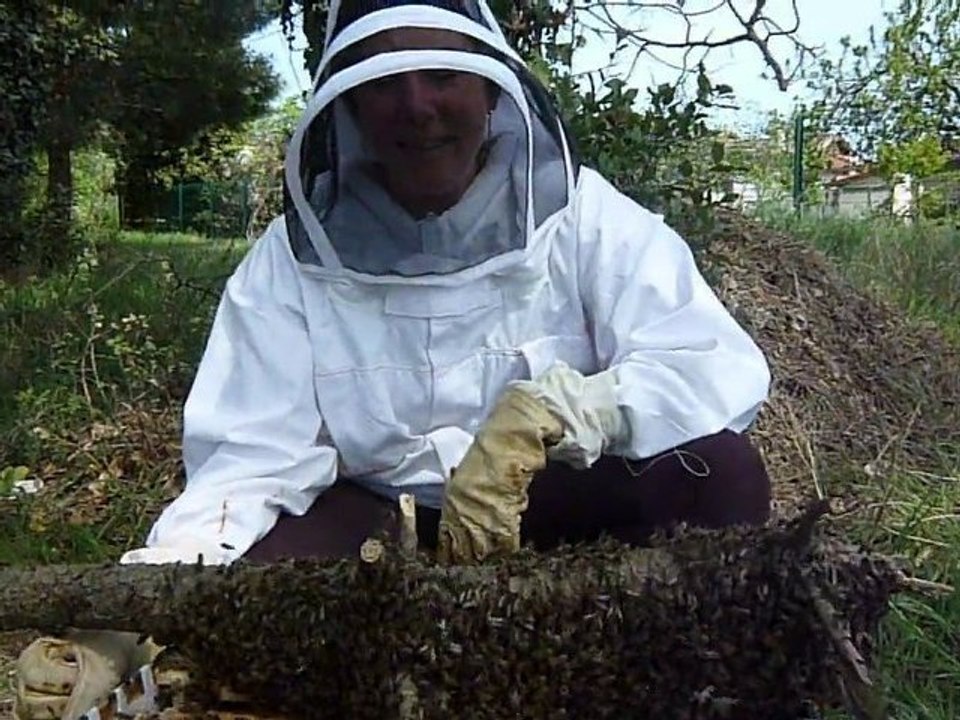 Jardin du Museum essaim 22 avril 2010