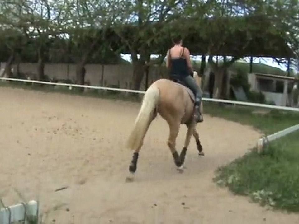 leçon dressage 21 avril 2010 part6