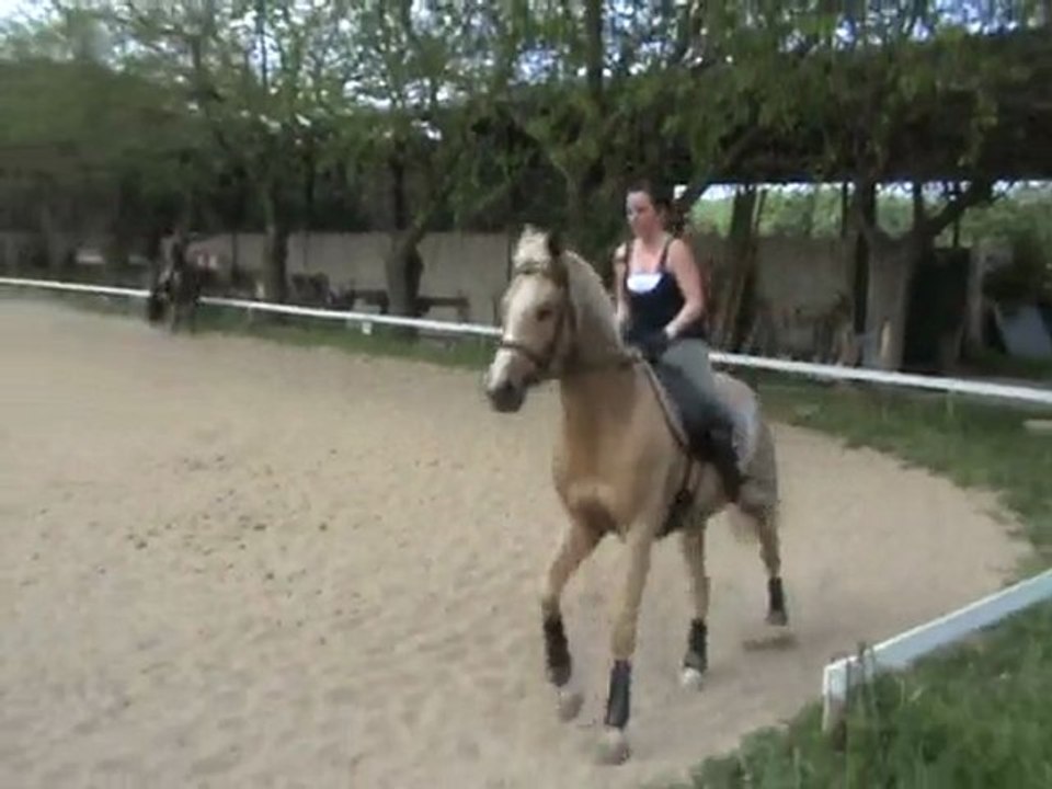 leçon dressage 21 avril 2010 part7