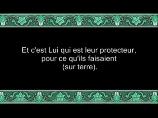 25 Les Bestiaux 4 partie (par Saoud Chouraym)