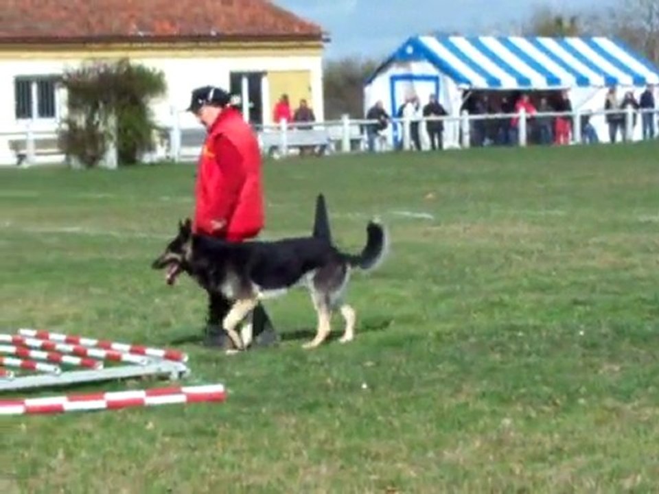 Boomer 2èm ring 2 Cholet