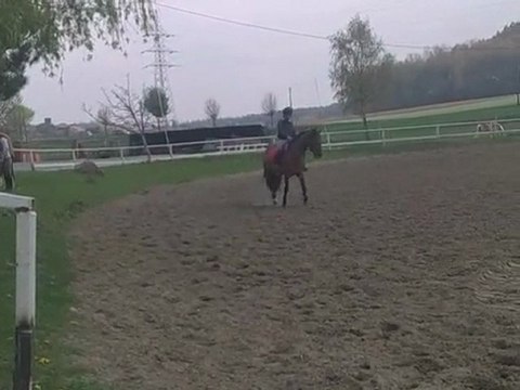 cours pour balou avec sandy a l extérieur