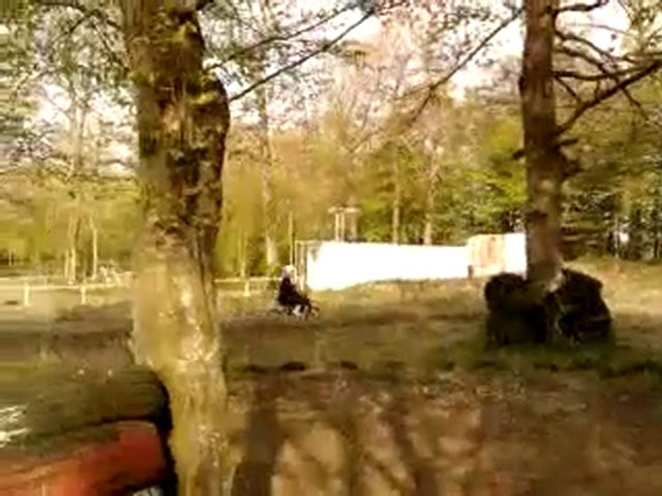 dirt bike crz 125 cc