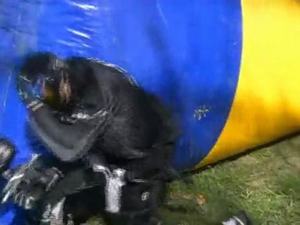 Paintball Amazones Cup / Scalp 4 vs Godfather / Match 2