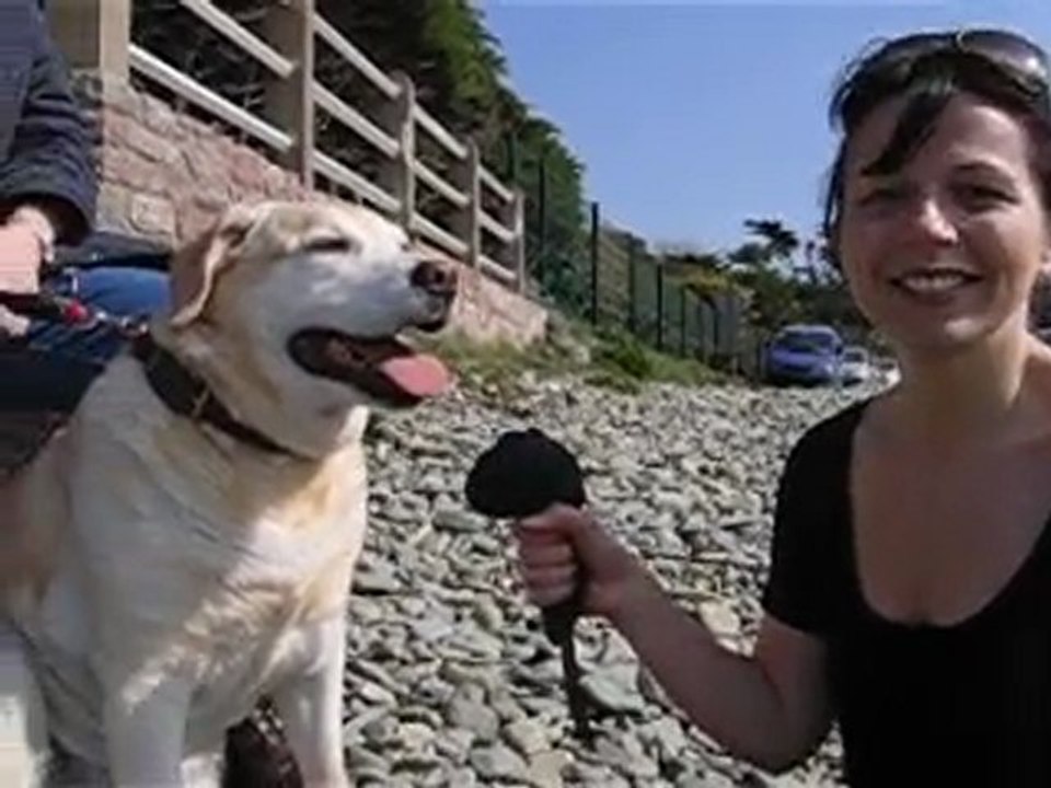 Breitz aventuriers, vidéos de l'interview , équipe rose