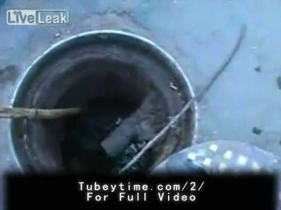 The World's Crappiest Job