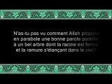 50 Ibrahim (par Saoud Ibn Ibrahim Ach-Chouraym)