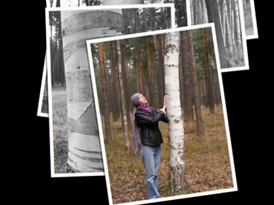 Le Nouveau Rêve - Le paradis sur terre (I)