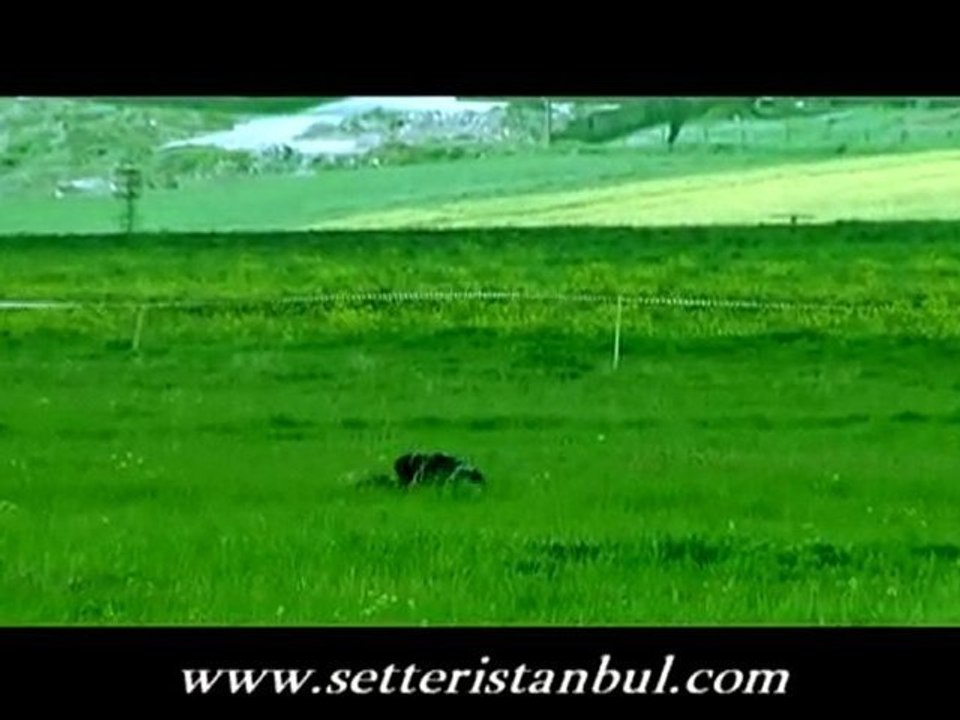 setteristanbul