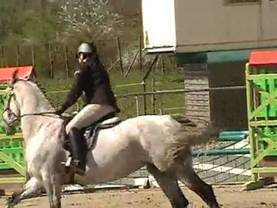 Koeking Nicole et Ushi C2 à Manom le 18/04/2010