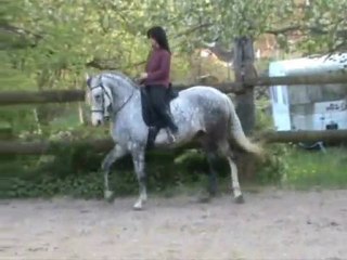 Maltosa 21.04.10 pour YT