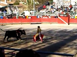 Vergèze 2010: Paco Ramos 2d toro