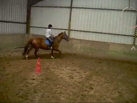 Galop du Mardi 27 Avril 2010