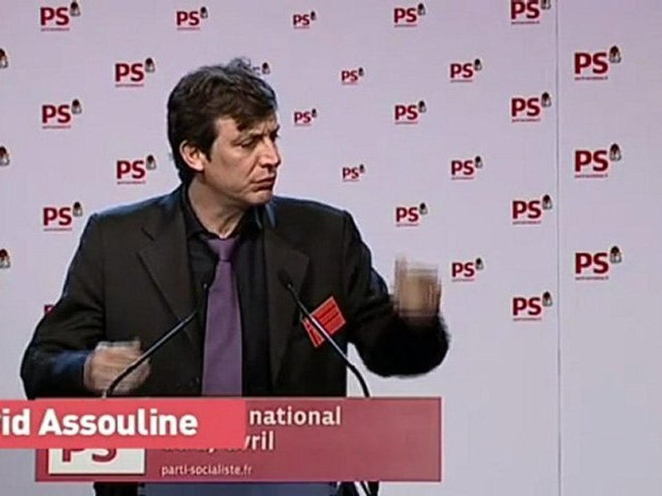 discours de David Assouline