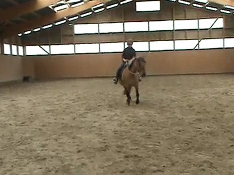 vacances pâques 2010 ( deplacement lateral à cheval )