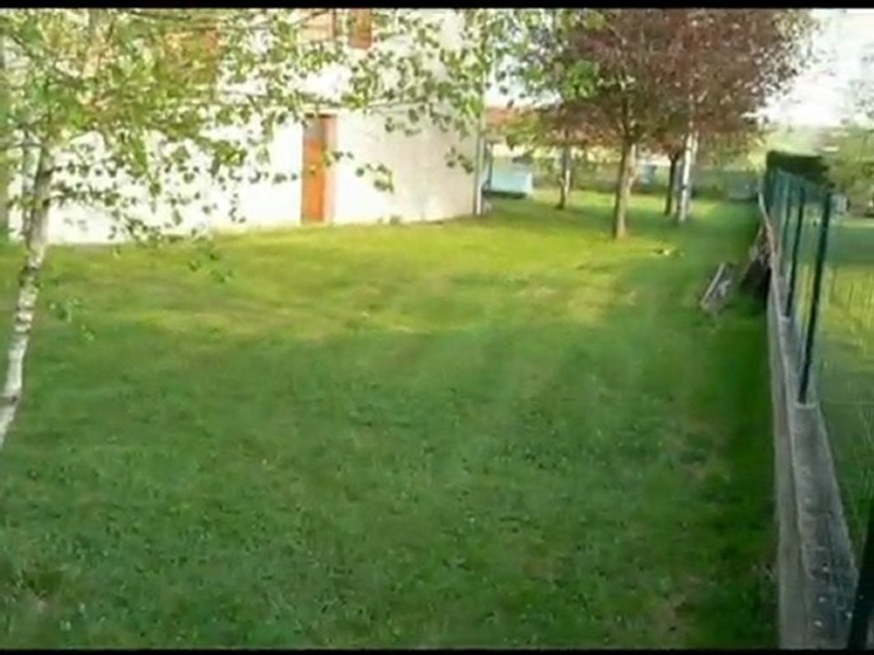 Kyosho lazer ZX-5 / EZRUN 5.5T