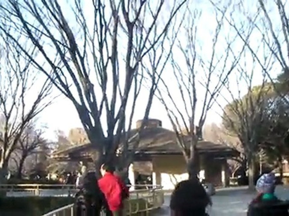 zoologico