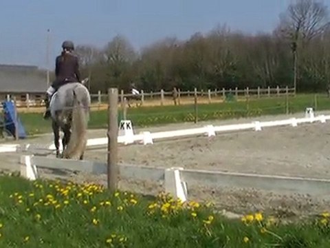 Dressage CCE Vigneux de Bretagne 17/04/10