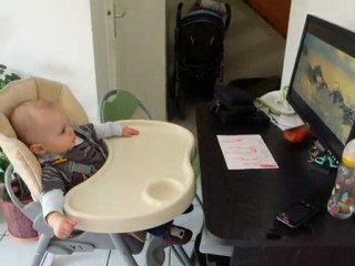 ethan devant le roi lion