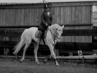 Mambo, plus qu'une raison de vivre...