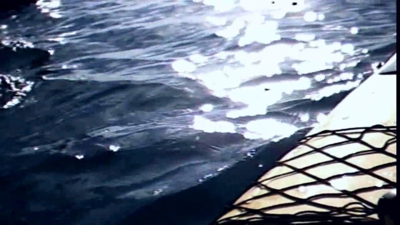 A fleur d'eau