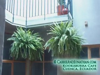 Great Cuenca, Ecuador Hotel: Kookaburra Cafe Accommodation