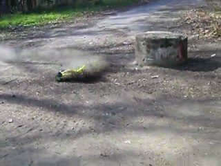 La buggy d'Auguste "Brushless powa !!"