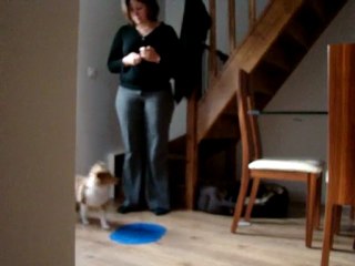 Exxos au cliker 1 (shapping)