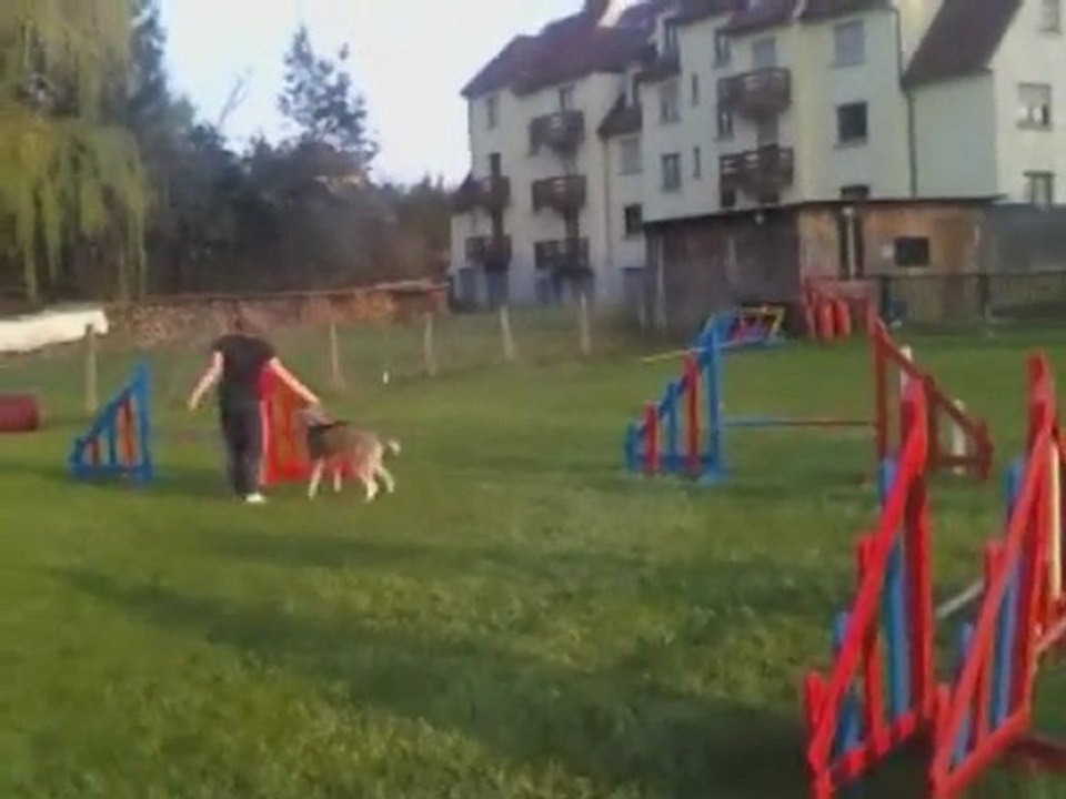 gao agility