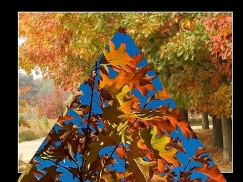 ŻÓŁTY JESIENNY LIŚĆ - wyk.Janusz Laskowski_1