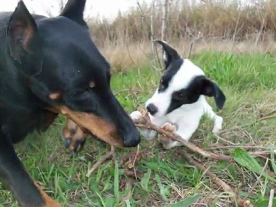 sortie du 3 avril 2010