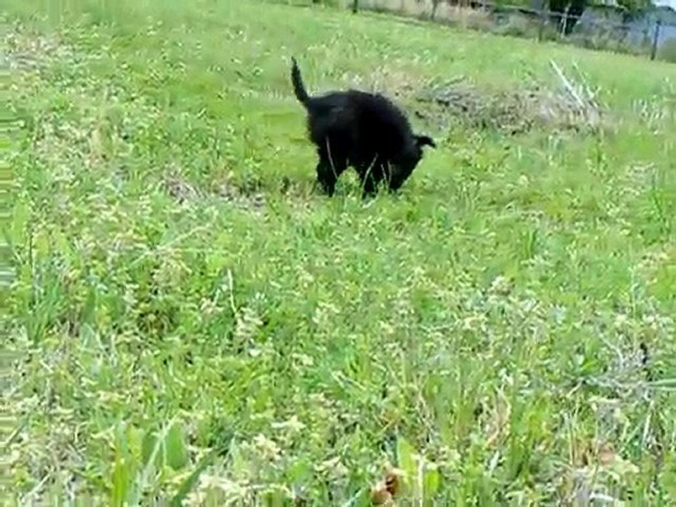 Max and Ms Kitty Chillin outside