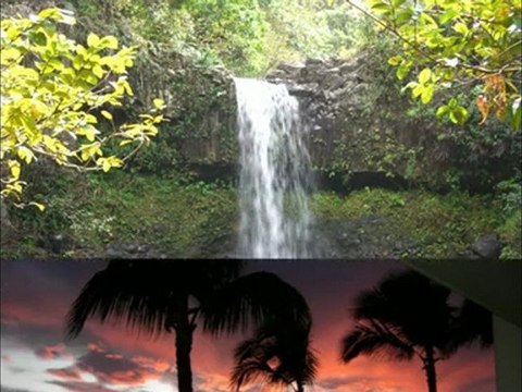 Maui oceanfront condo rental sugar beach #440