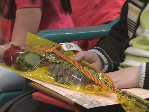 220410 Premis Literaris Sant Jordi 2010