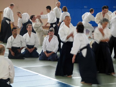 AIKIDO Endo 45th All Japan Aikido Demonstration
