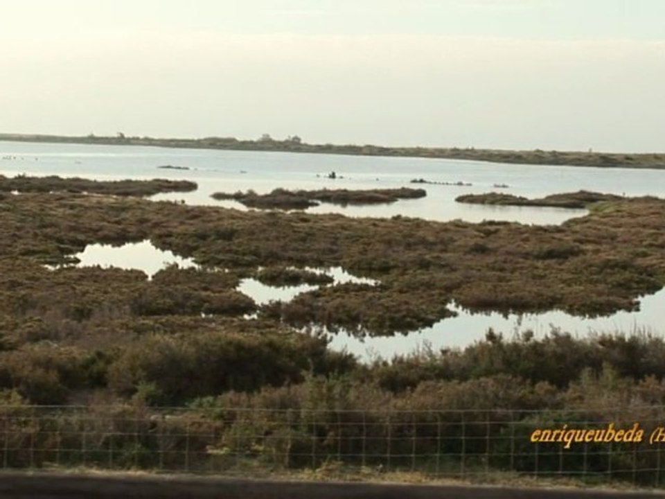 Ruta 11: Parque Natural de Cabo de Gata-Nijar (Almería) HD